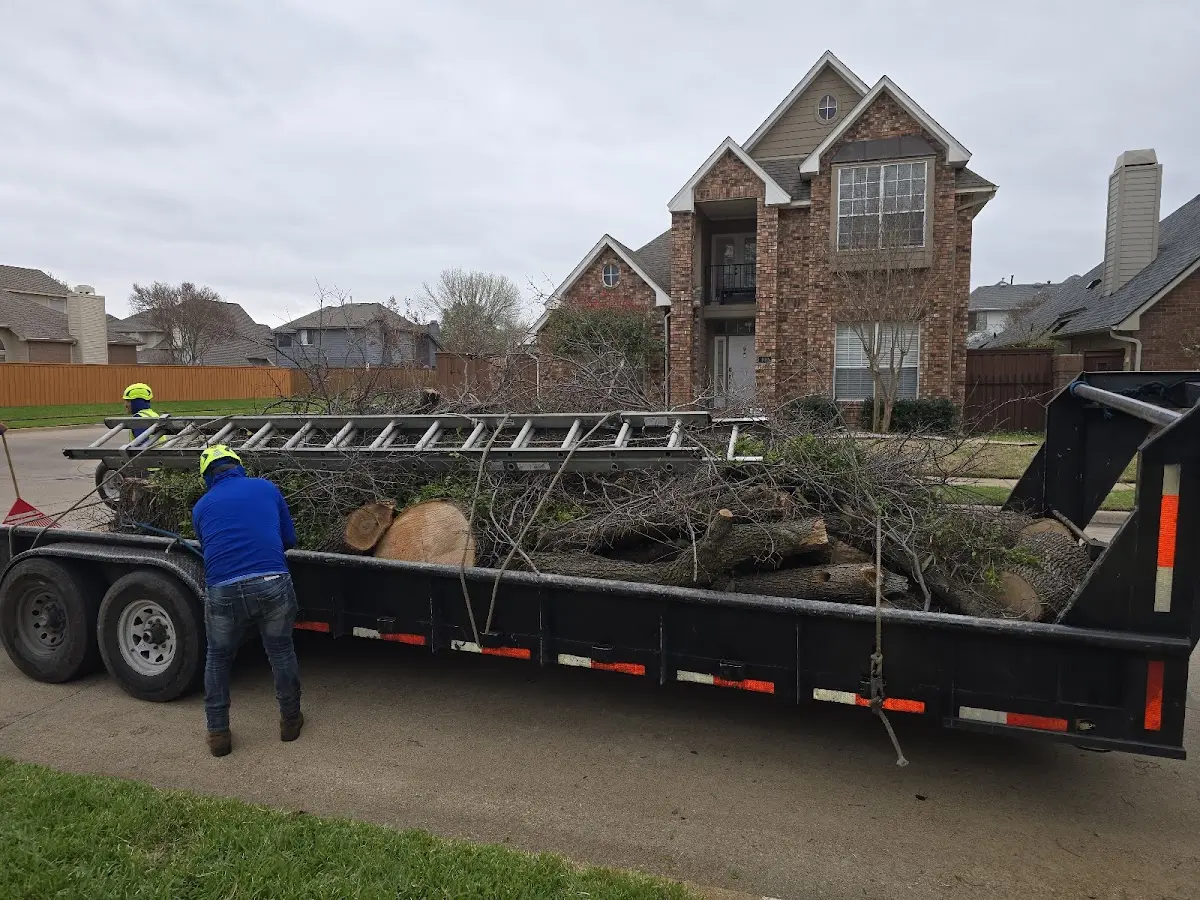 Expert Tree Pest Control with proper safety equipment in Palisades Park